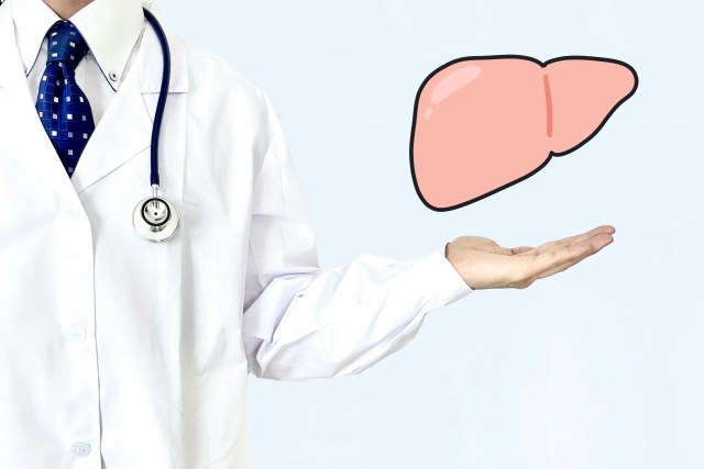 脂肪肝について